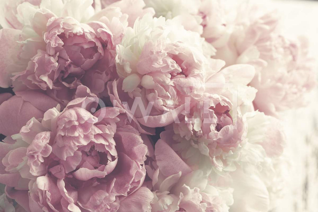 #Papier_peint_maroc# - #owall#